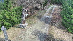 Bílá - běžecká trať