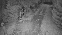 Bílá - běžecká trať