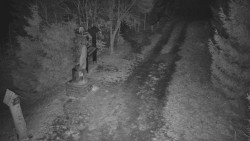 Bílá - běžecká trať