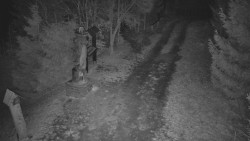 Bílá - běžecká trať