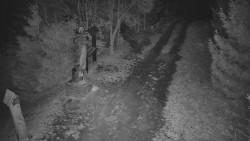 Bílá - běžecká trať