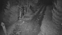 Bílá - běžecká trať