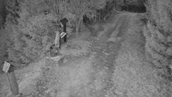 Bílá - běžecká trať