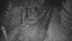 Bílá - běžecká trať