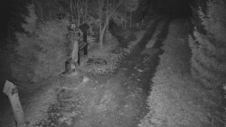 Bílá - běžecká trať