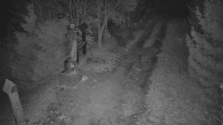 Bílá - běžecká trať