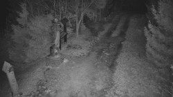 Bílá - běžecká trať