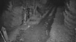 Bílá - běžecká trať