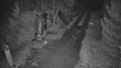 Bílá - běžecká trať