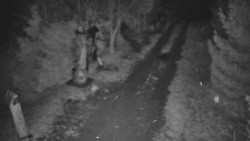 Bílá - běžecká trať