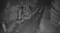 Bílá - běžecká trať