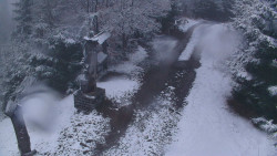 Bílá - běžecká trať