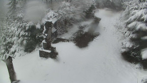 Skiareál Bílá - Bílá - běžecká trať - 26.3.2026 v 10:30 Skiareál Bílá - Bílá - běžecká trať - 26.3.2026 v 10:30