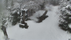 Skiareál Bílá - Bílá - běžecká trať - 26.3.2026 v 12:30 Skiareál Bílá - Bílá - běžecká trať - 26.3.2026 v 12:30