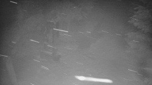 Skiareál Bílá - Bílá - běžecká trať - 26.3.2026 v 19:30 Skiareál Bílá - Bílá - běžecká trať - 26.3.2026 v 19:30