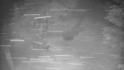 Bílá - běžecká trať