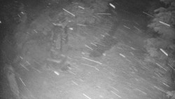 Bílá - běžecká trať