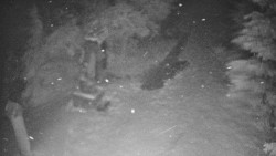 Bílá - běžecká trať