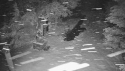 Bílá - běžecká trať