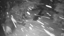 Bílá - běžecká trať