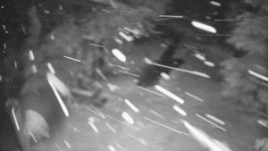 Skiareál Bílá - Bílá - běžecká trať - 26.3.2026 v 23:30 Skiareál Bílá - Bílá - běžecká trať - 26.3.2026 v 23:30