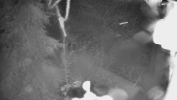 Bílá - běžecká trať