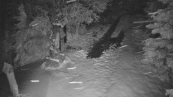 Bílá - běžecká trať