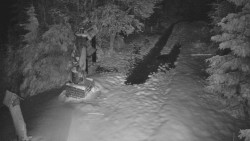 Bílá - běžecká trať