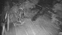 Bílá - běžecká trať