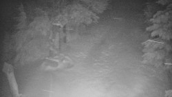 Bílá - běžecká trať