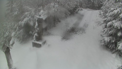 Bílá - běžecká trať