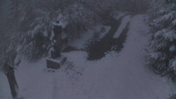 Bílá - běžecká trať