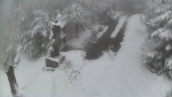 Bílá - běžecká trať