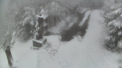 Bílá - běžecká trať