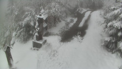 Bílá - běžecká trať