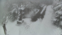 Bílá - běžecká trať