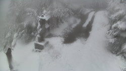 Bílá - běžecká trať