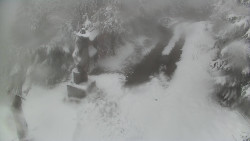 Bílá - běžecká trať