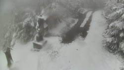 Bílá - běžecká trať