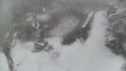 Bílá - běžecká trať