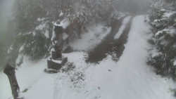 Bílá - běžecká trať