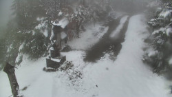 Bílá - běžecká trať