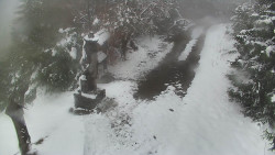 Bílá - běžecká trať