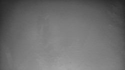 Bílá - běžecká trať