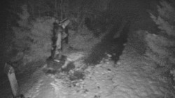 Bílá - běžecká trať