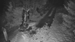 Bílá - běžecká trať