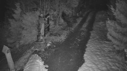 Bílá - běžecká trať