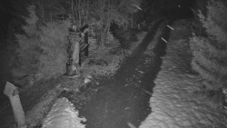 Bílá - běžecká trať