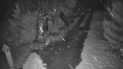 Bílá - běžecká trať