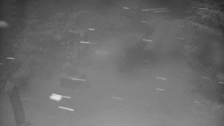 Bílá - běžecká trať